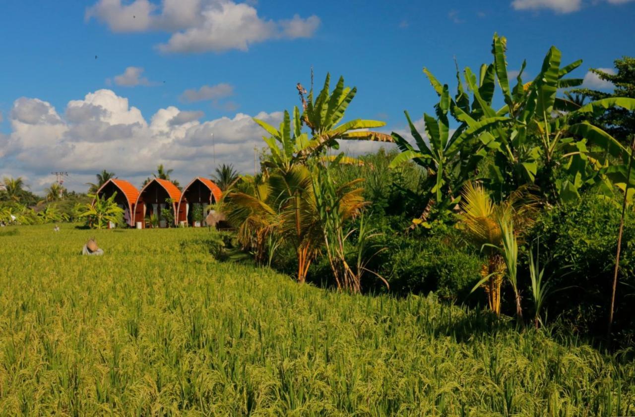 Keramas Surf Camp Hotel Luaran gambar