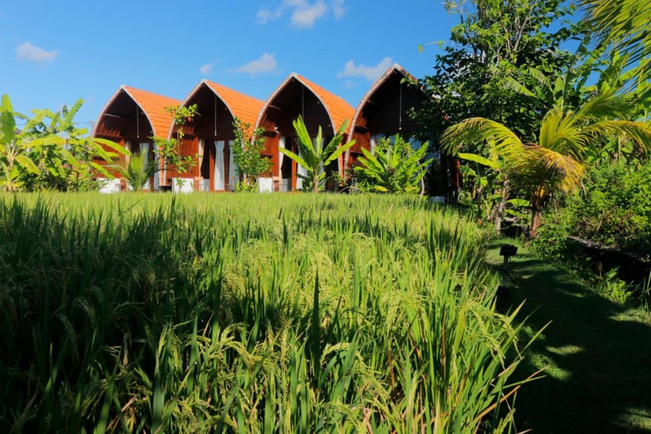 Keramas Surf Camp Hotel Luaran gambar