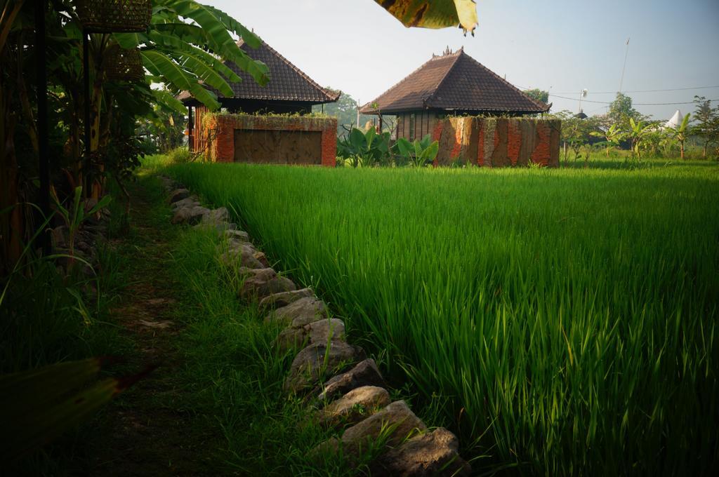 Keramas Surf Camp Hotel Luaran gambar