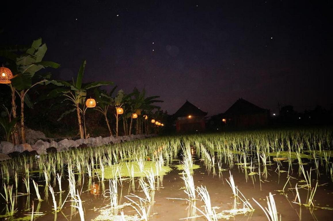 Keramas Surf Camp Hotel Bilik gambar