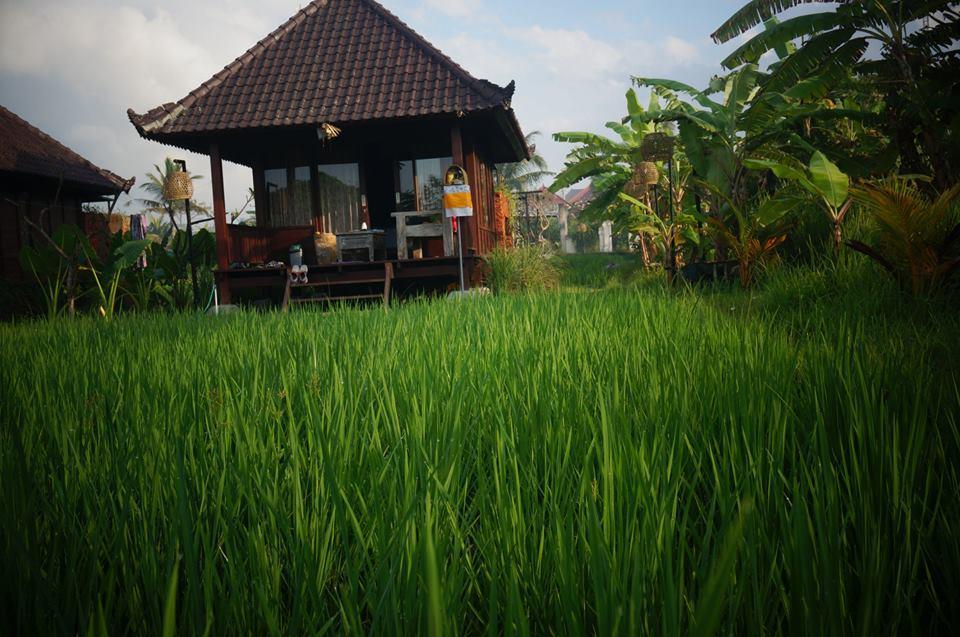 Keramas Surf Camp Hotel Luaran gambar