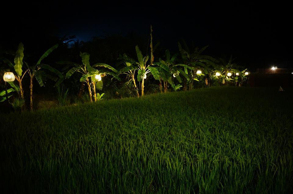 Keramas Surf Camp Hotel Luaran gambar